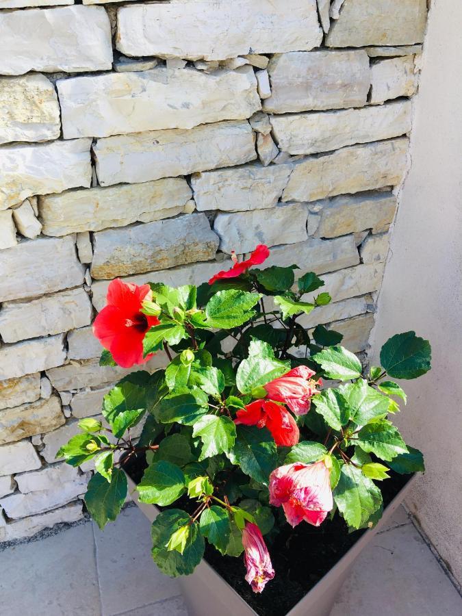 La Villa Mediterranee Wellness Spa Piscine Saint-Drezery Zewnętrze zdjęcie