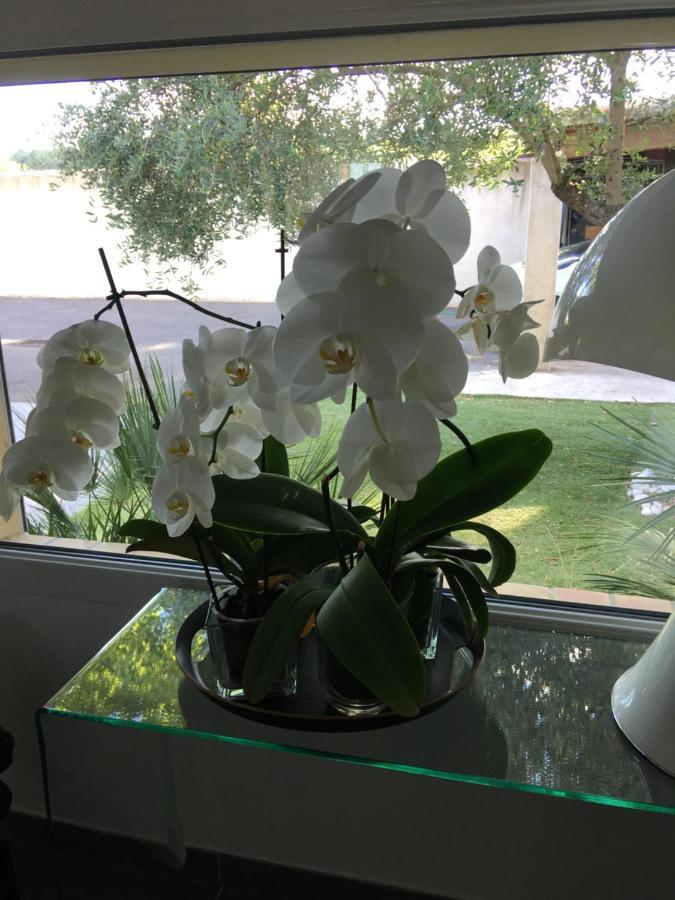 La Villa Mediterranee Wellness Spa Piscine Saint-Drezery Zewnętrze zdjęcie